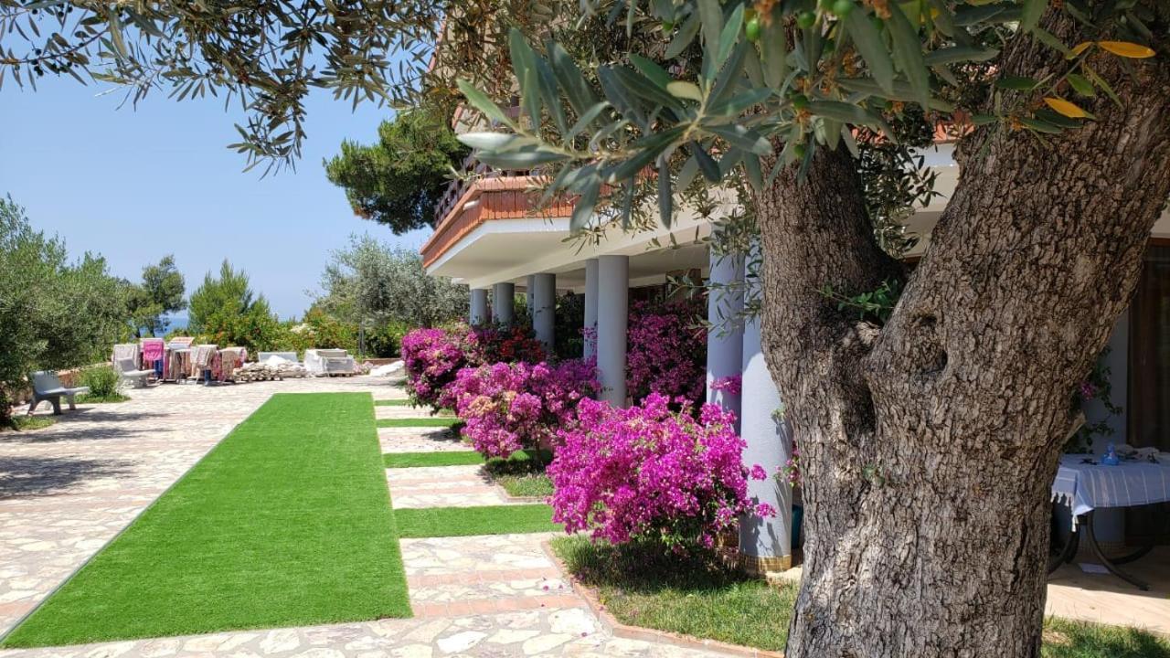 Hotel Brifs Shëngjin Екстериор снимка