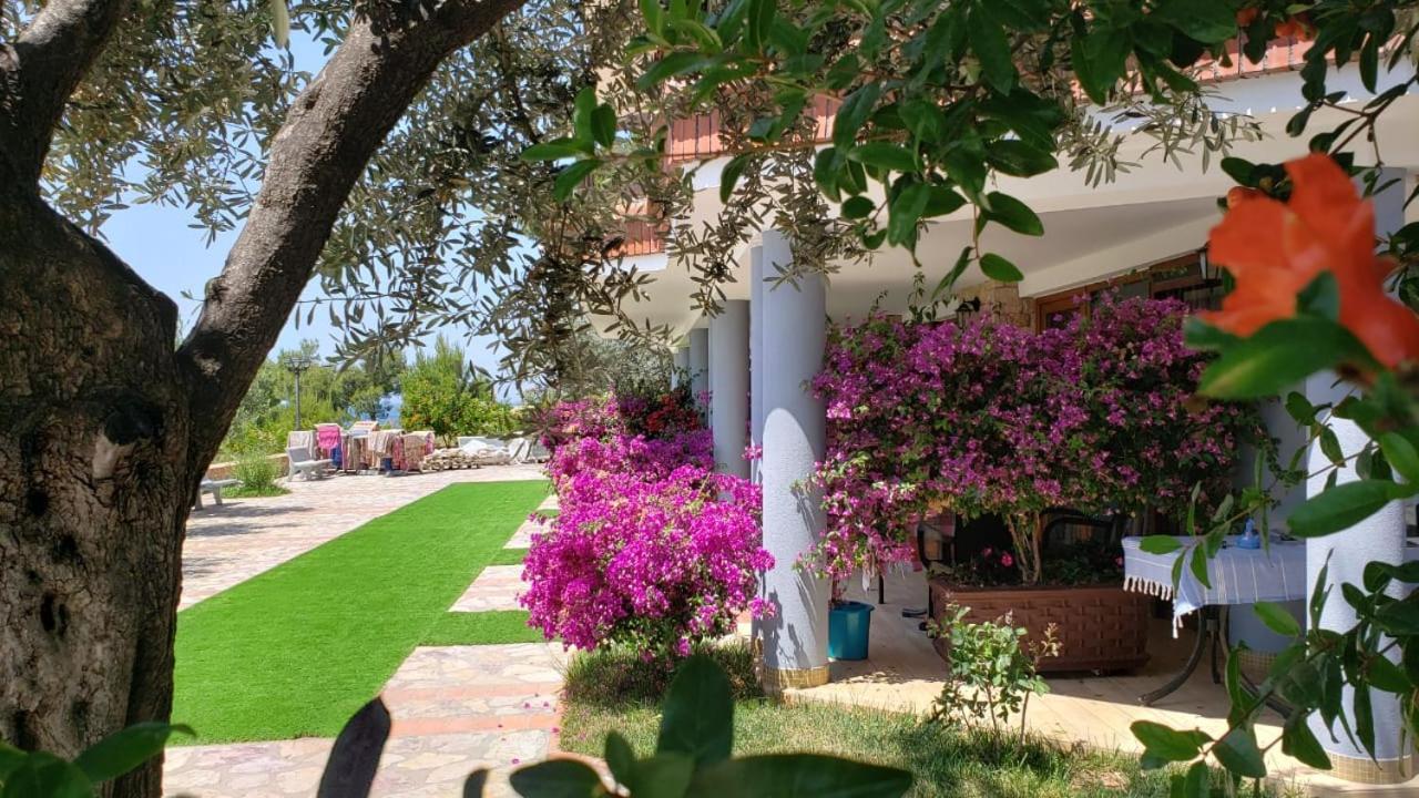 Hotel Brifs Shëngjin Екстериор снимка