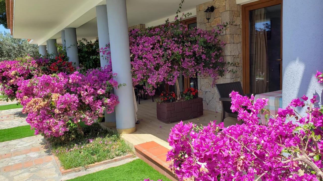 Hotel Brifs Shëngjin Екстериор снимка
